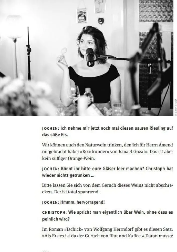 Alles Gesagt? Buch zum Podcast