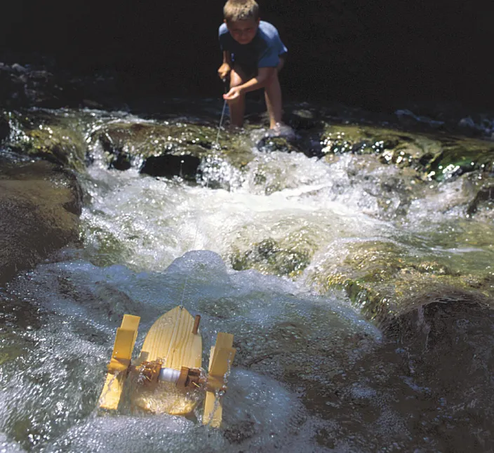 Bausatz »Forelle« zum Experimentieren