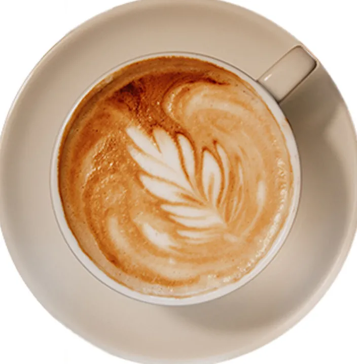 Bio-Espressobohnen »Black Birdy«