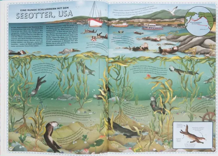 Der Atlas der Ozeane