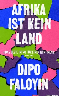 Faloyin, Dipo: Afrika ist kein Land