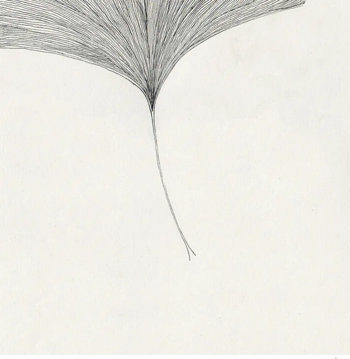 Frois, Ana: »Ginkgo Leaf«, mit Rahmung