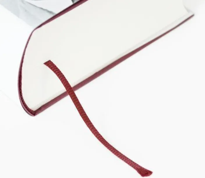 Ingeborg Bachmann, Max Frisch: »Wir haben es nicht gut gemacht.«