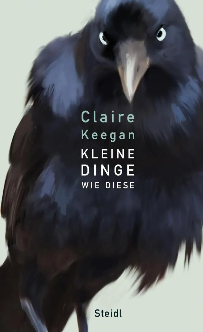 Keegan, C: Kleine Dinge wie diese
