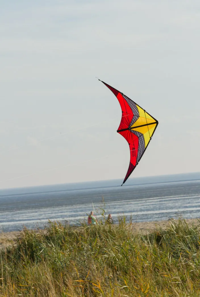 Kinder-Lenkdrachen »Limbo II Lava«