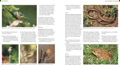 Kreuter, Marie-Luise: Der Biogarten