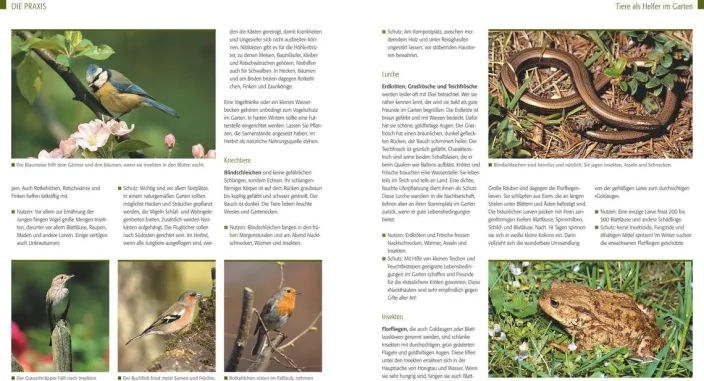 Kreuter, Marie-Luise: Der Biogarten