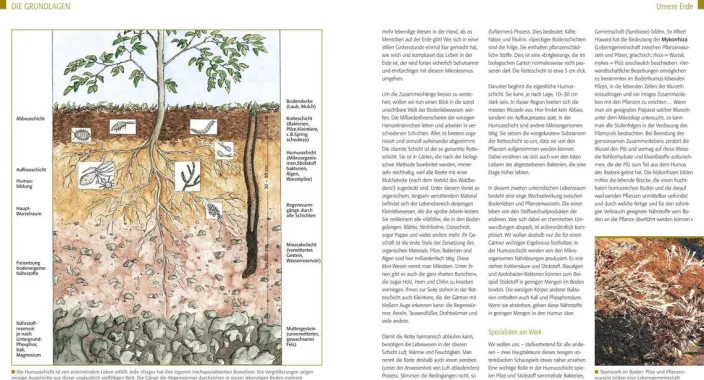 Kreuter, Marie-Luise: Der Biogarten