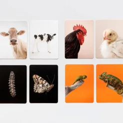 Memo »Klein und Groß«