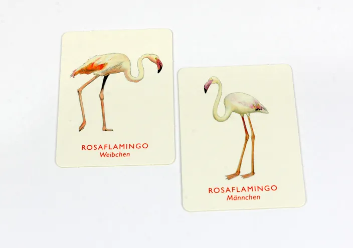 Memo Spiel »Vogelpaare«