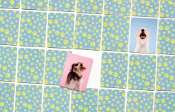 Memo-Spiel »Hundesprache - Verstehst du deinen Hund?«