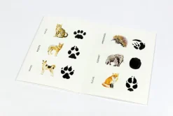 Memo-Spiel »Wilden Tieren auf der Spur - 25 Tiere und ihre Pfotenabdrücke«