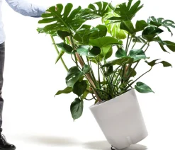 Mobiler Pflanzkübel