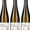 Probierpaket »Riesling Rheingau«
