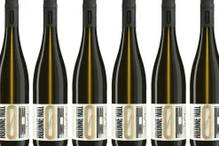 Riesling 2023, alkoholfrei, 6er Set