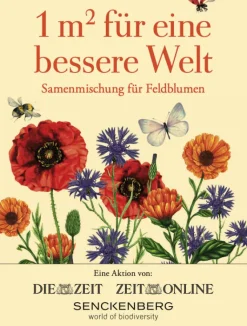 Samentütchen Feld- oder Wildblumen »1 Quadratmeter«