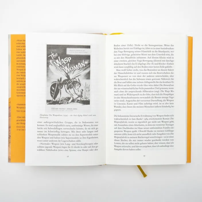 Seirian Sumner: Wespen – Eine Versöhnung