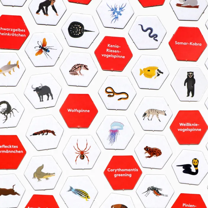 Wimmel Such Spiel »Erste*r sein!«